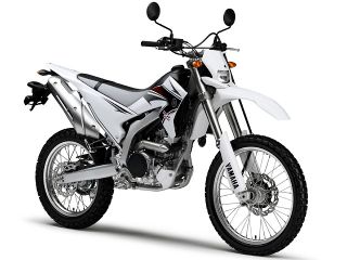 2009年 WR250Rパープリッシュホワイトソリッド1