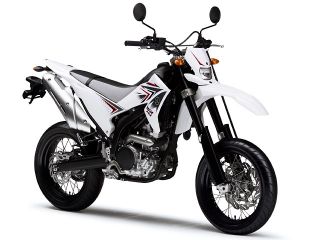 2010年 WR250Xパープリッシュホワイトソリッド1