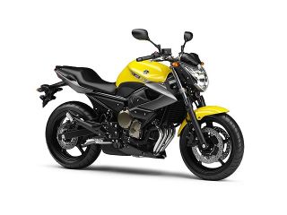 2009年 XJ6Nレディツシュイエローカクテル1