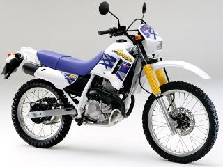 1993年 XL DEGREEロスホワイト×ディオニサスブルー
