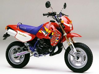 カワサキ（KAWASAKI）1994年 KSR-Ⅰ・カラーチェンジのカタログ情報 | 沖縄のバイクを探すなら【グーバイク沖縄】