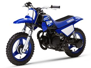 2019年 PW50ディープパープリッシュブルーソリッドE