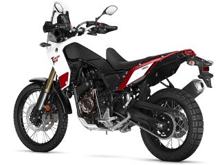 2019年 Tenere700Competition White（リアビュー）
