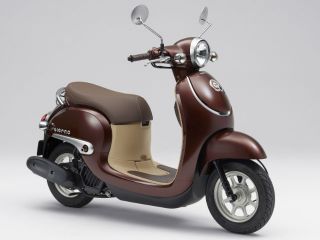 2019年 Giornoパールアンブラウン