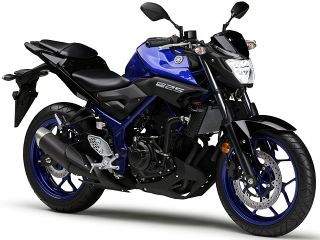 2019年 MT-25ディープパープリッシュブルーメタリックC