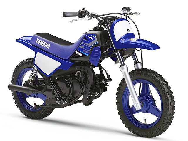 2020年 PW50 ディープパープリッシュブルーソリッドE（カタログメイン）