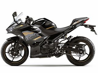 2020年 Ninja 250メタリックスパークブラック×メタリックマットグラファイトグレー（サイドビュー）