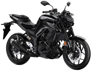 2020年 MT-25Metallic Black