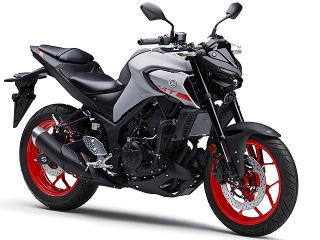 2020年 MT-25 ABSマットライトグレーメタリック4