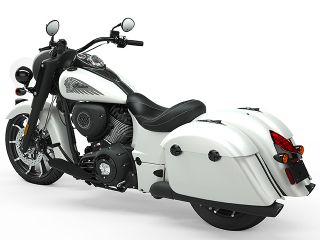 2019年 Springfield Dark Horse（リアビュー）