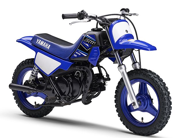 2021年 PW50 ディープパープリッシュブルーソリッドE（カタログメイン）