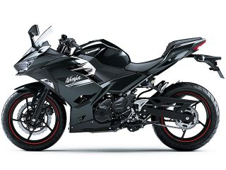2021年 Ninja 250（サイドビュー）