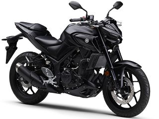 ヤマハ（YAMAHA）2021年 MT-25 ABS・カラーチェンジのカタログ