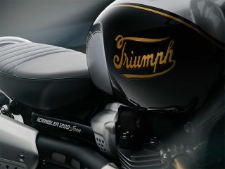 2025年 Scrambler 1200 XE Icon Edition（筆記体ロゴイメージ）