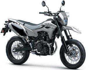 2025年 KLX230SMバトルグレー