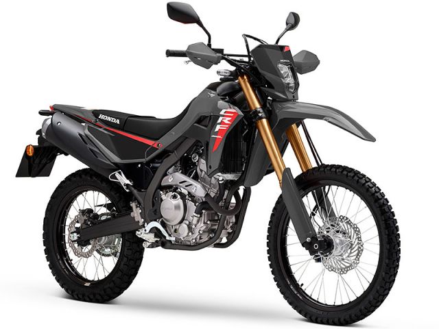 2025年 CRF300L Swift Grey（カタログメイン）