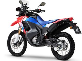 2025年 CRF300RALLY（リアビュー）