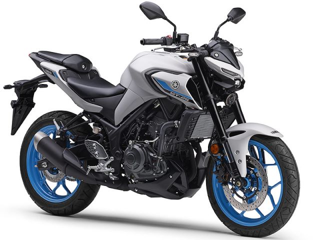 2025年 MT-25 ABS マットライトグレーメタリック4（カタログメイン）