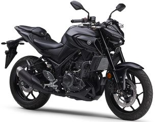 2025年 MT-25 ABSマットダークグレーメタリック8