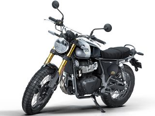 2025年 Bear650 MidGolden Shadow
