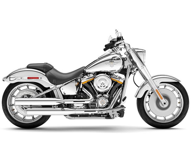 2025年 FLSTFI  Softail Fatboy Gray Ghost Reflection（カタログメイン）
