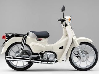 2026年 Super Cub 110クラシカルホワイト