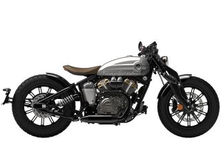 2025年 Napoleonbob 250チタニウムシルバー