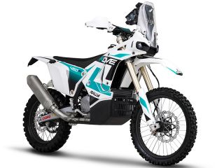 2026年 450 RALLY EXGREEN