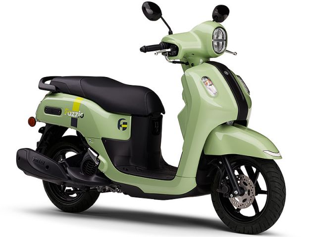 2026年 Fazzio ライトグレーイッシュリーフグリーンソリッド1（カタログメイン）