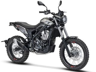 ALP-X