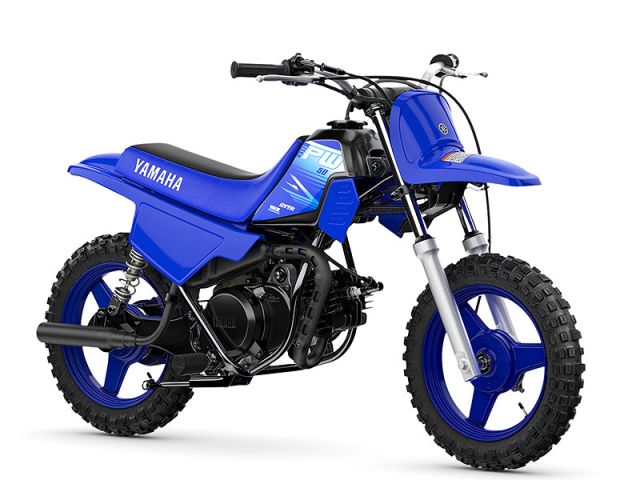 2027年 PW50 ディープパープリッシュブルーソリッドE（カタログメイン）