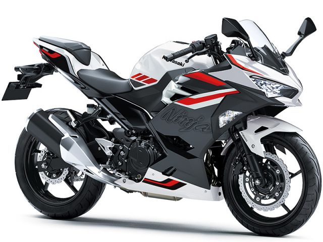 2027年 Ninja 250 パールロボティックホワイト×メタリックマグネティックダークグレー（カタログメイン）